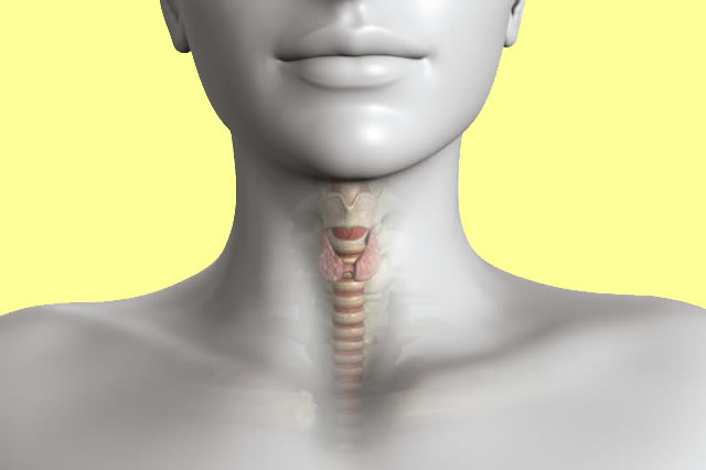 uploads/treatment_packages/1761575558_thyroid.jpg