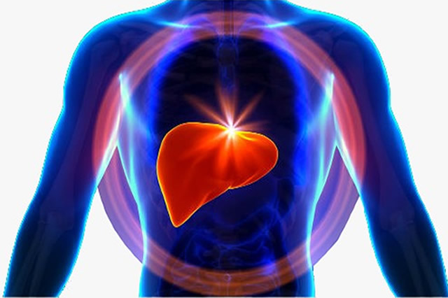 uploads/treatment_packages/1761576791_liver.jpg