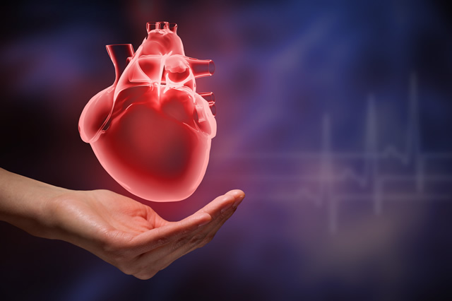 uploads/treatment_packages/1763384682_heart.jpg